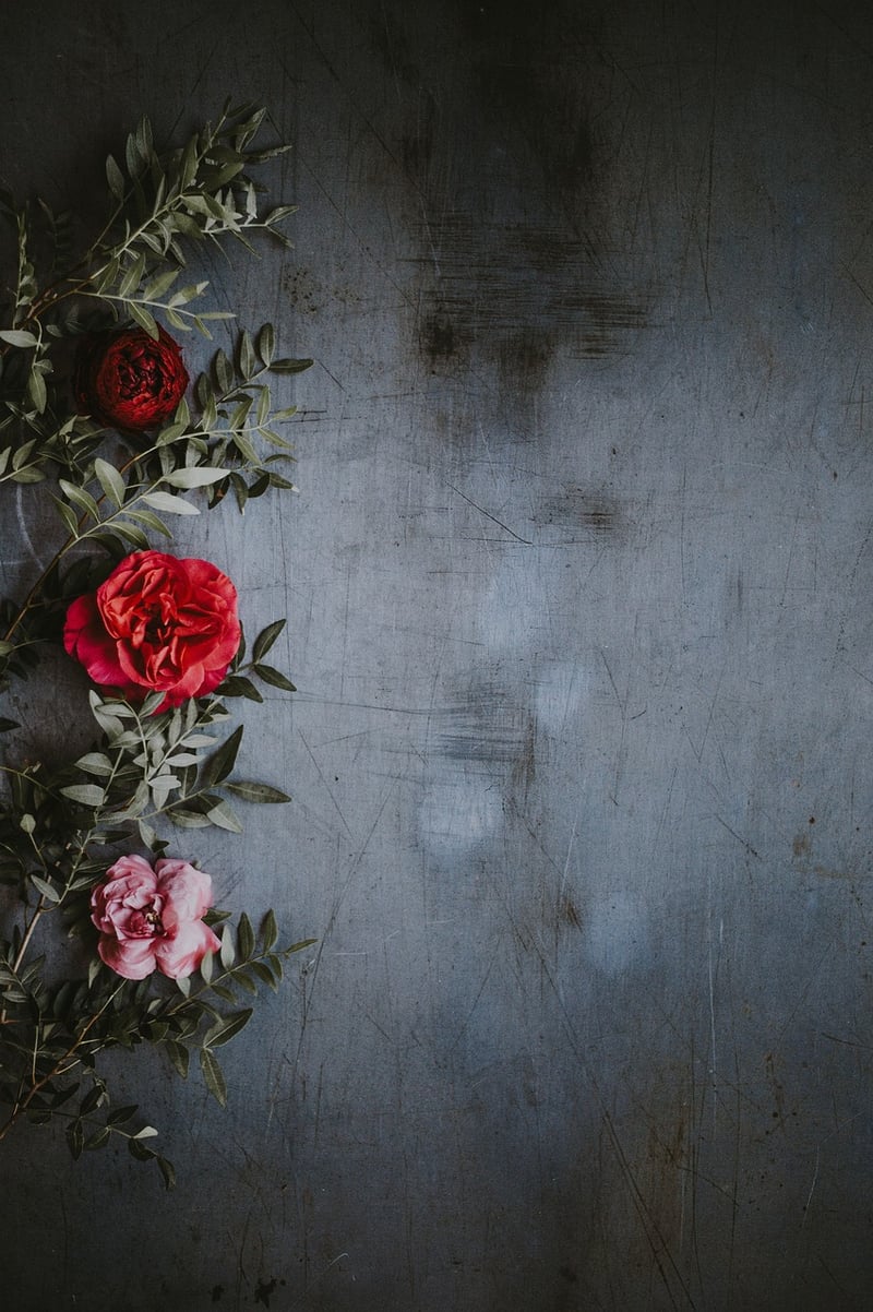 Botanical Prints